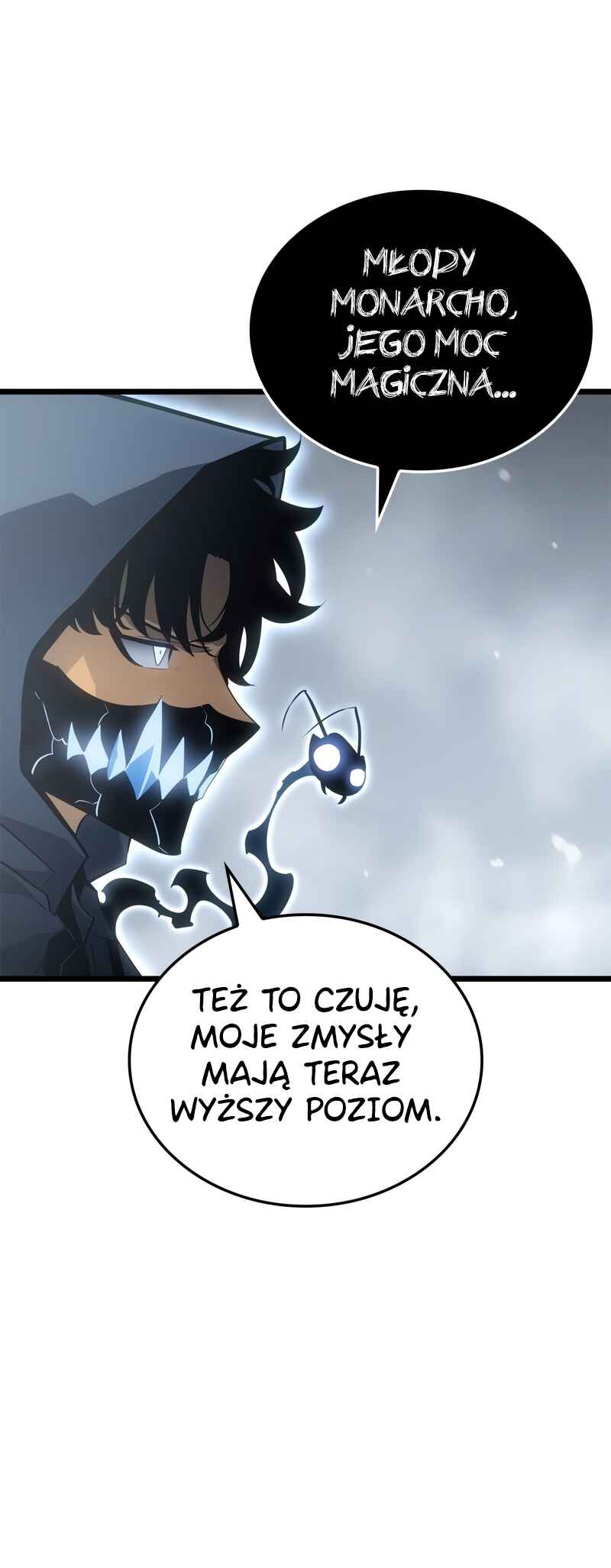 Na Honjaman Level Up: Ragnarok Chapter 36 - Page 11