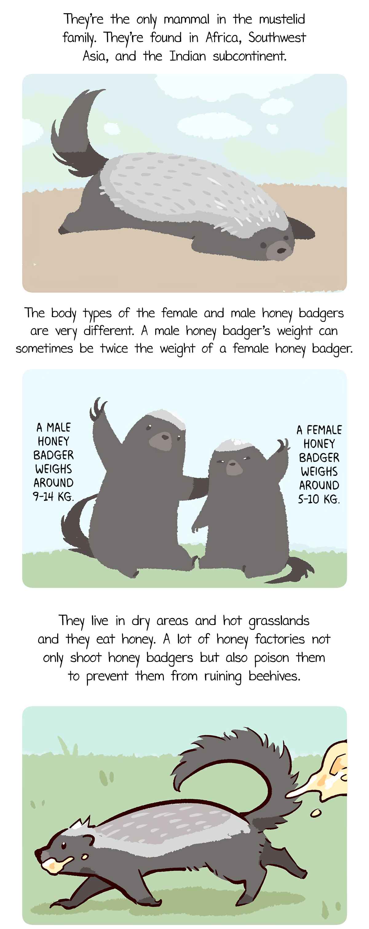 Panda x Red Panda Chapter 5 - Page 6