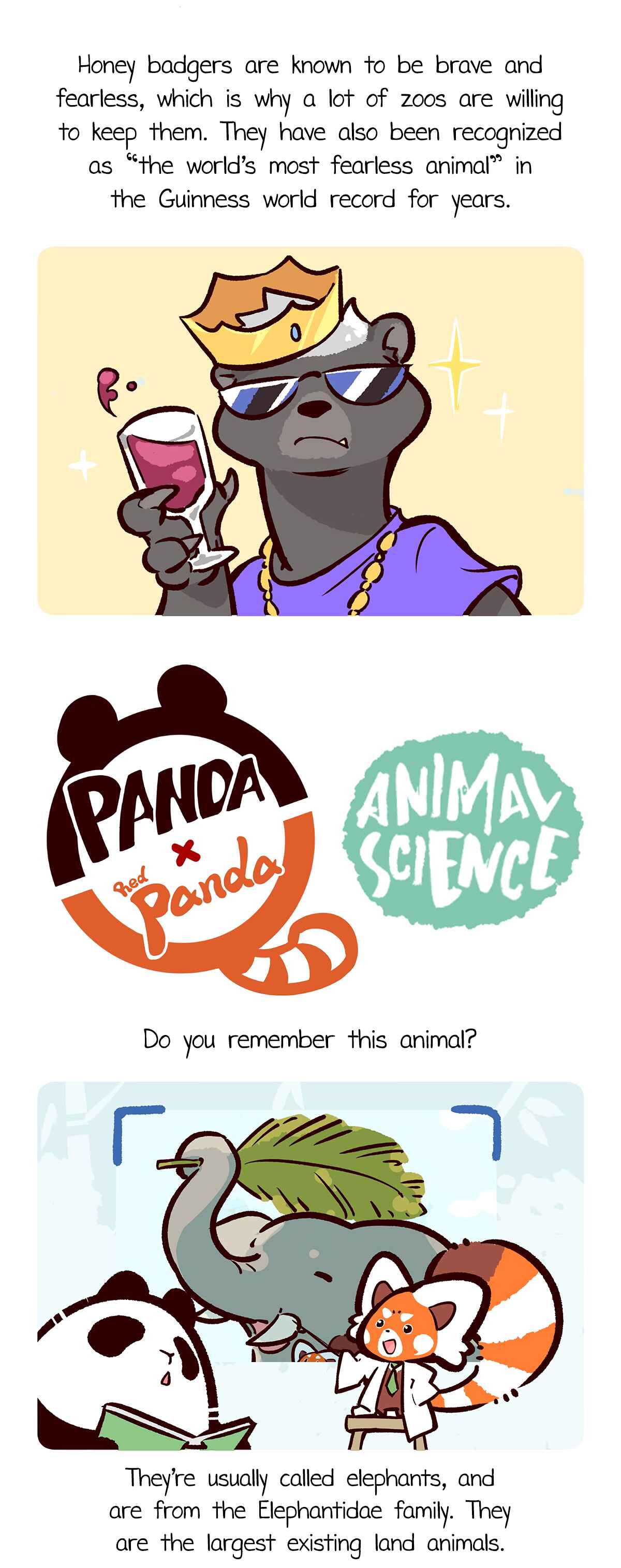 Panda x Red Panda Chapter 5 - Page 7