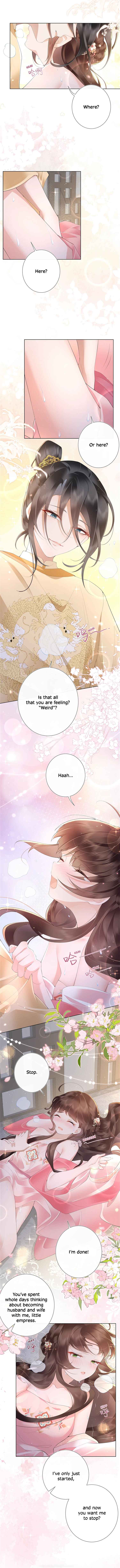 Unaware His Majesty Is a Girl Chapter 15 - Page 3