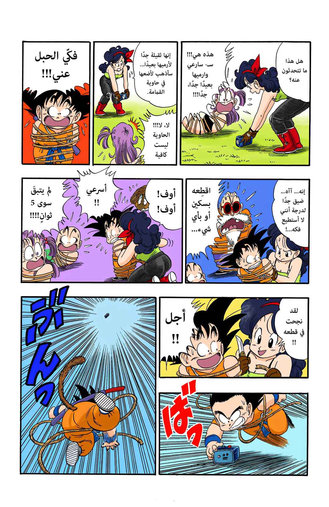 Dragon Ball (Official Colored) Chapter 80 - Page 13