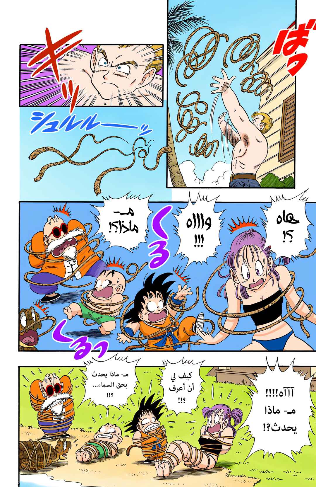 Dragon Ball (Official Colored) Chapter 80 - Page 8