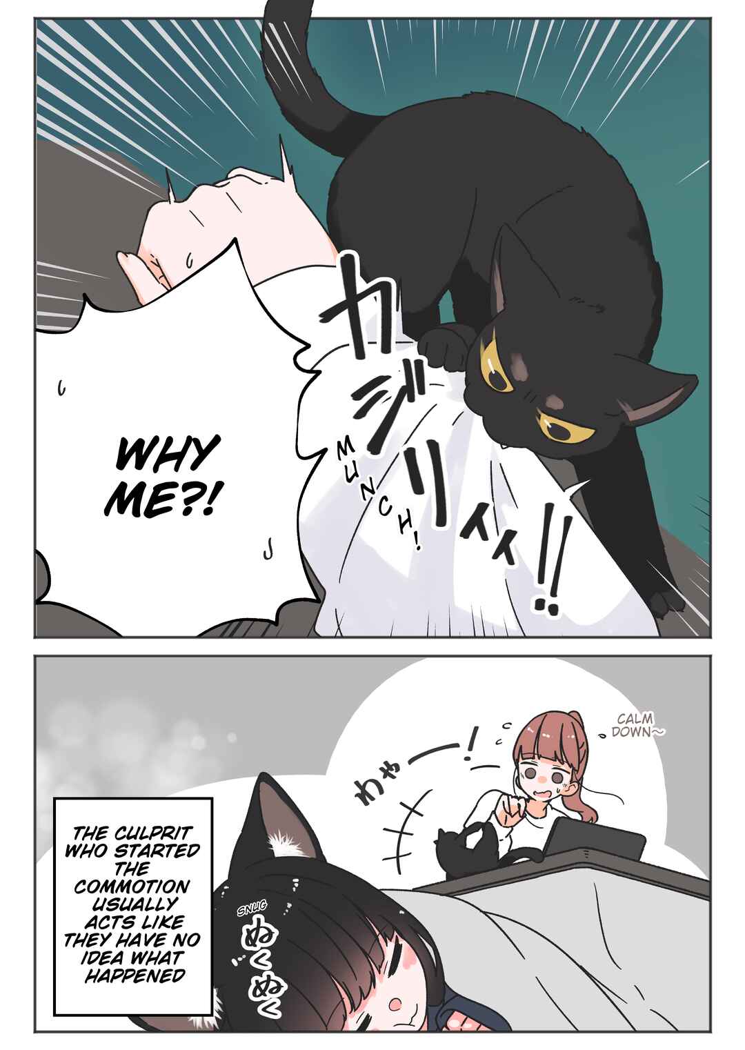 Uchi no Kuroneko, Onna no Ko Chapter 27 - Page 2