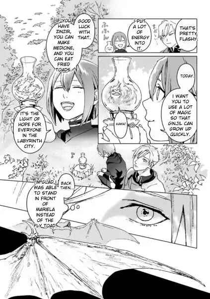 Ikinokori Renkinjutsushi wa Machi de Shizuka ni Kurashitai ~Rinkan no Mahou-yaku~ Chapter 1 - Page 24