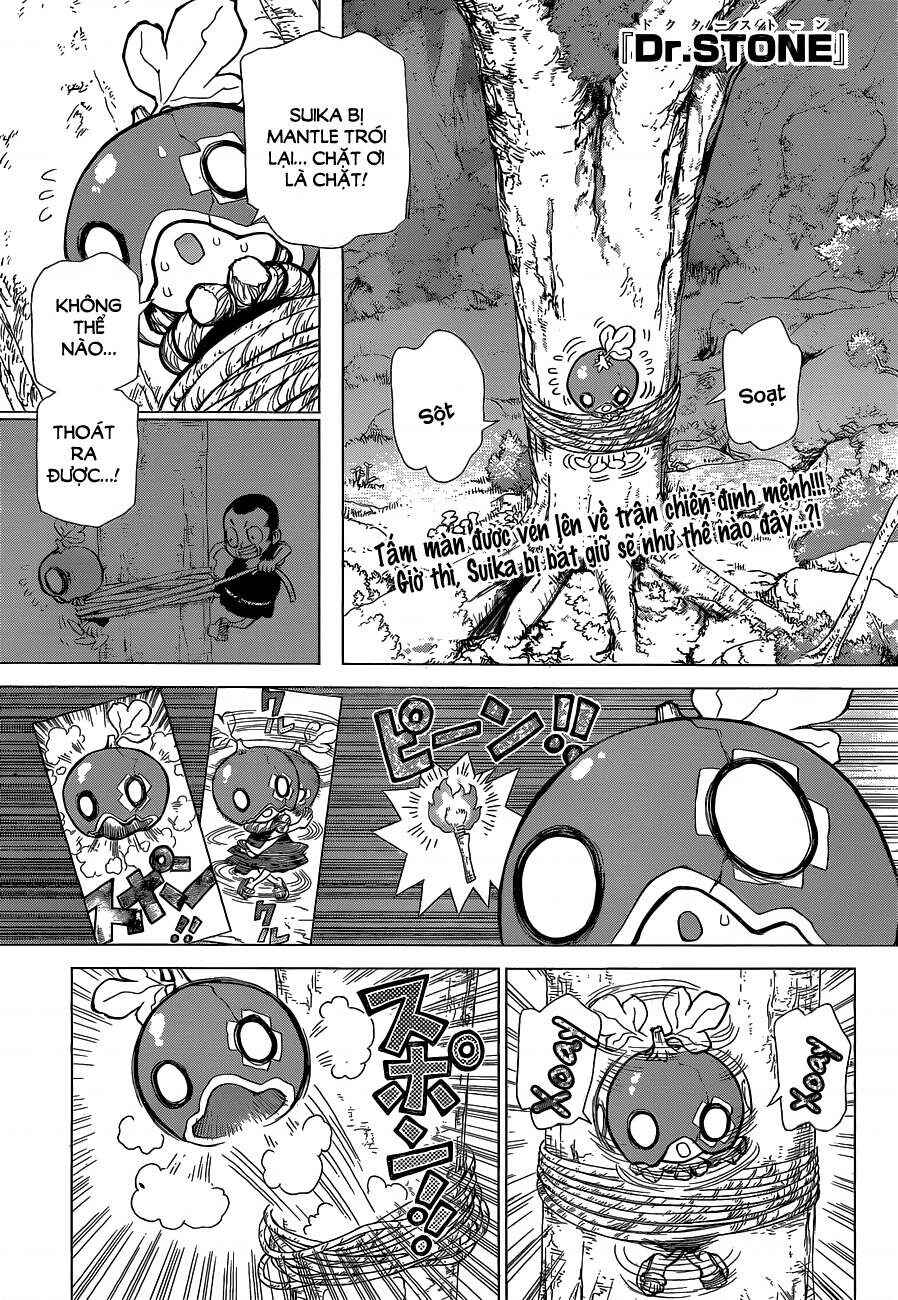 Dr.STONE Chapter 35 - Page 2