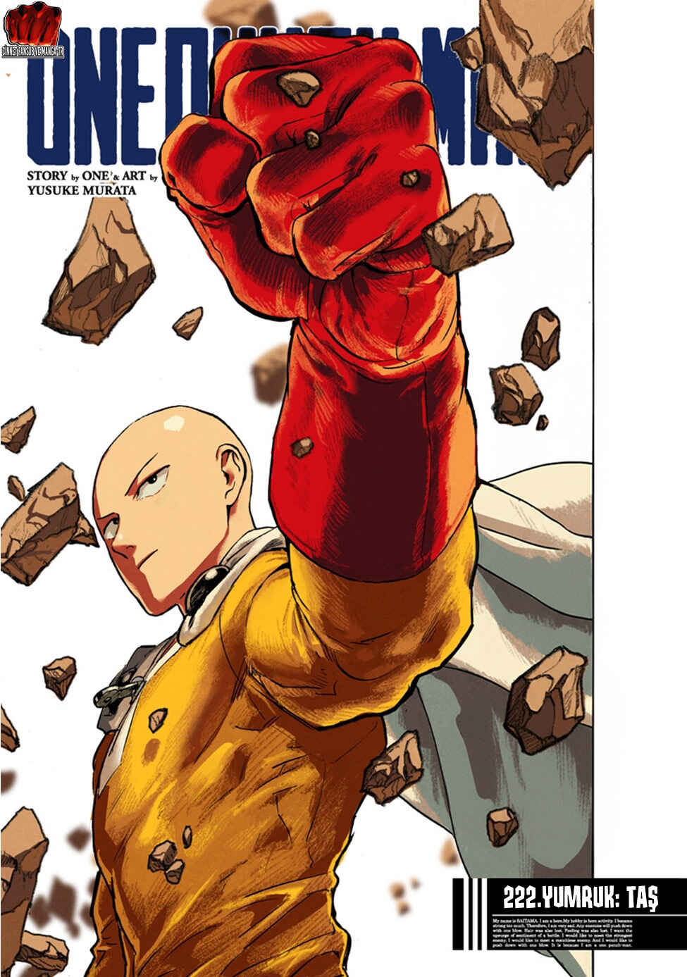 One Punch-Man Chapter 222 - Page 2