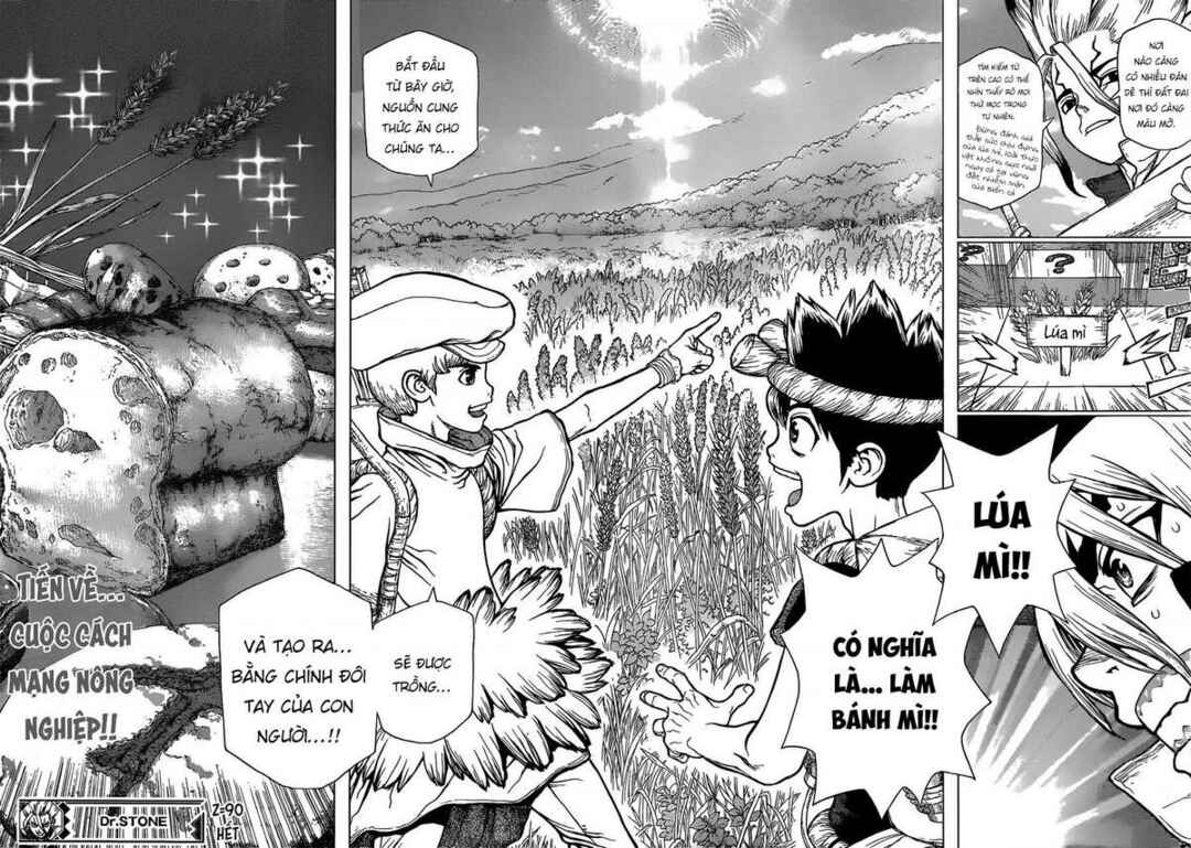 Dr.STONE Chapter 90 - Page 18