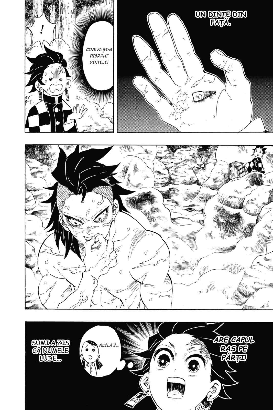 Demon Slayer: Kimetsu no Yaiba Chapter 101 - Page 9