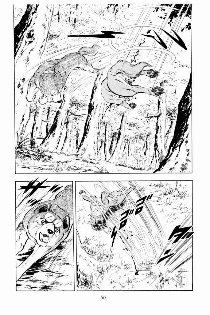 Silver Fang – The Shooting Star Gin – Chapter 21 - Page 29