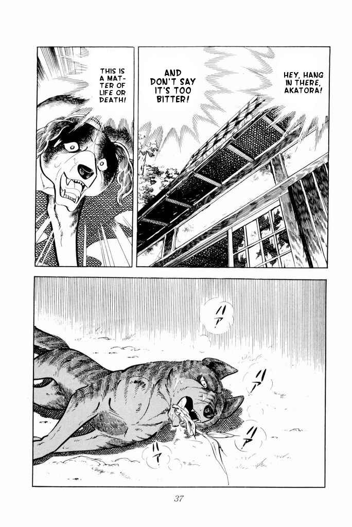Silver Fang – The Shooting Star Gin – Chapter 21 - Page 36