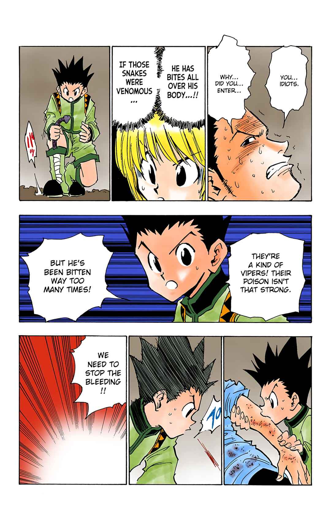 Hunter x Hunter (Official Colored) Chapter 30 - Page 17