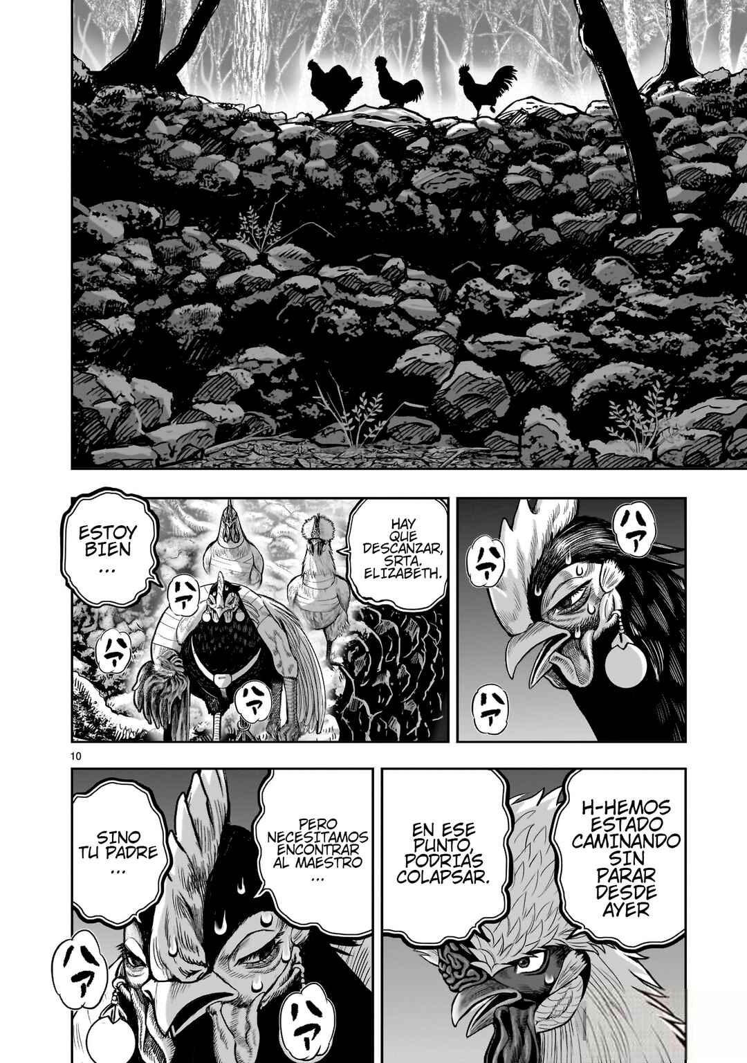 Niwatori Fighter Chapter 37 - Page 12