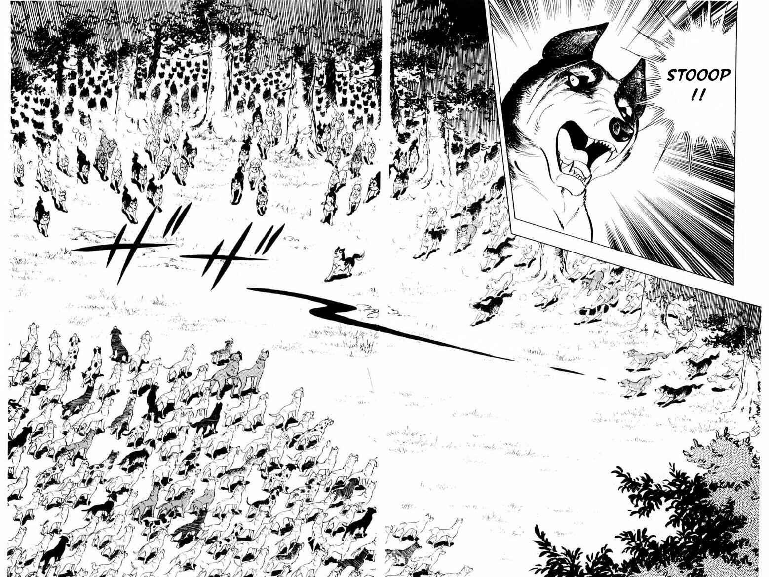 Silver Fang – The Shooting Star Gin – Chapter 35 - Page 19