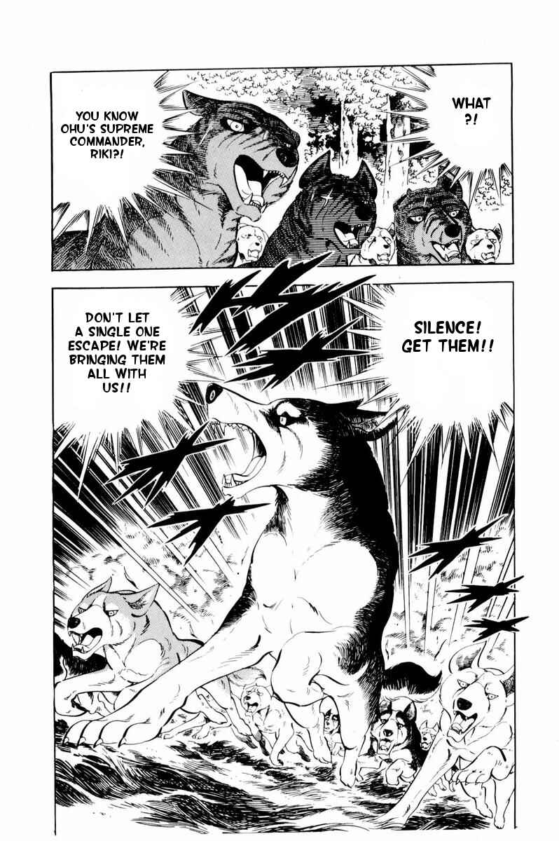 Silver Fang – The Shooting Star Gin – Chapter 35 - Page 22