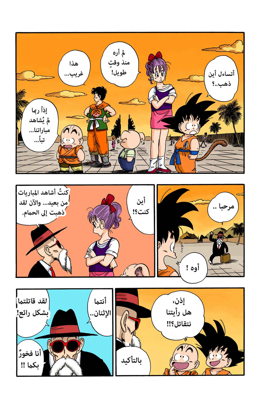Dragon Ball (Official Colored) Chapter 54 - Page 5