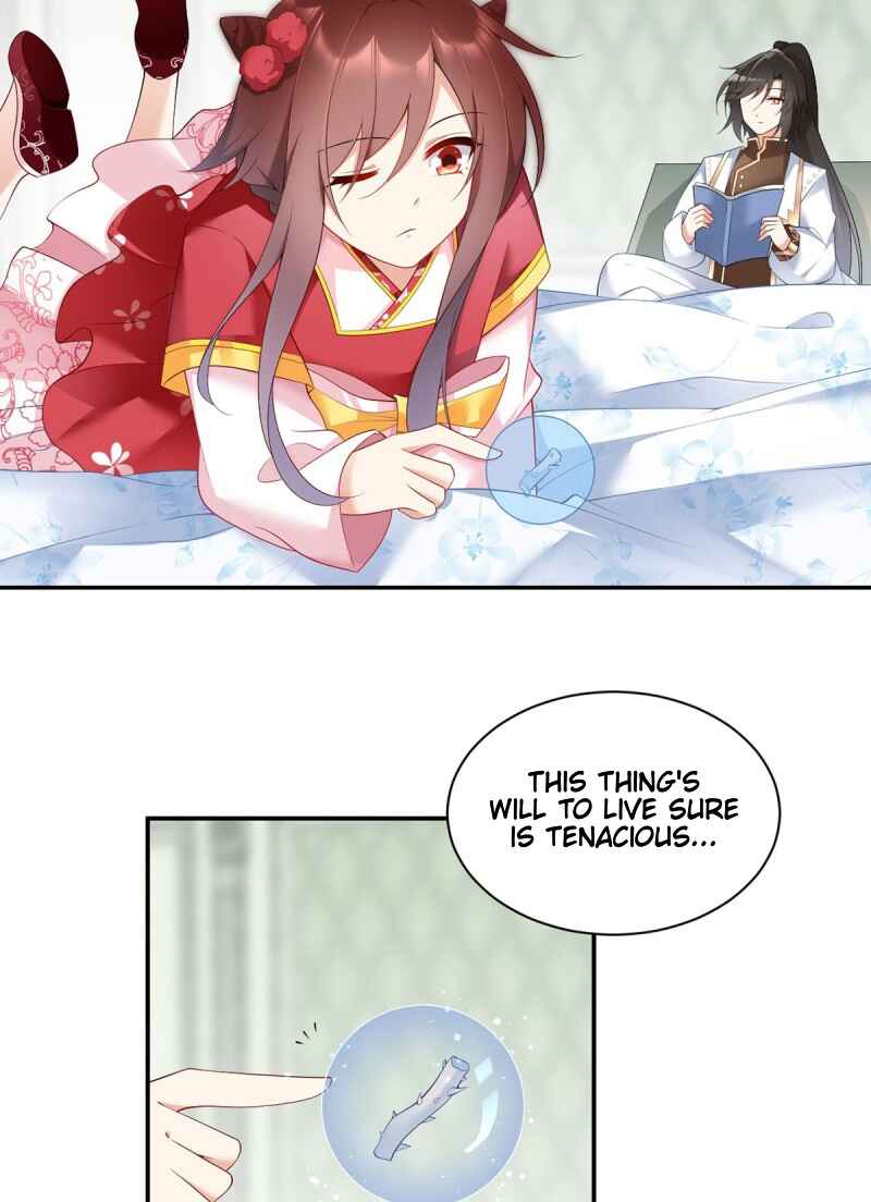 The Distinguished Cute Master Chapter 192 - Page 4