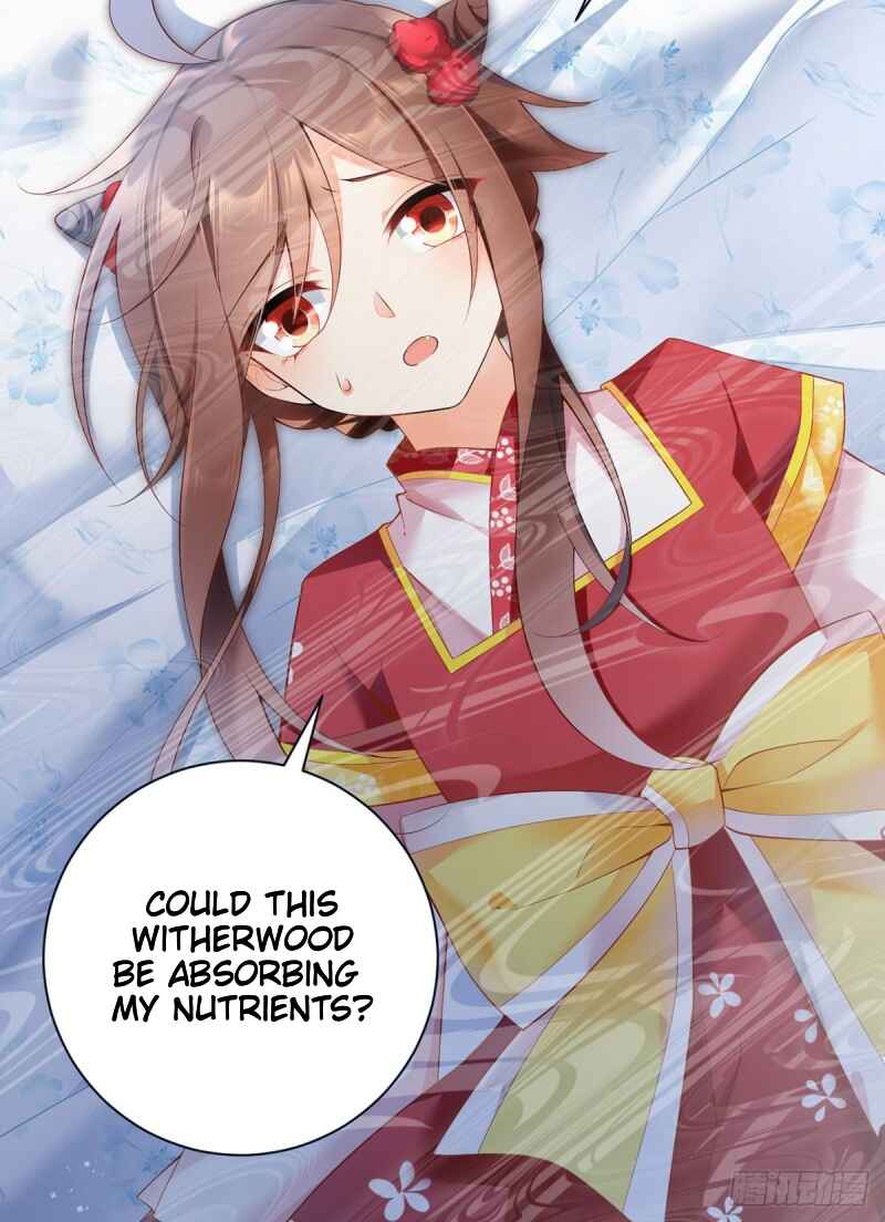 The Distinguished Cute Master Chapter 192 - Page 8