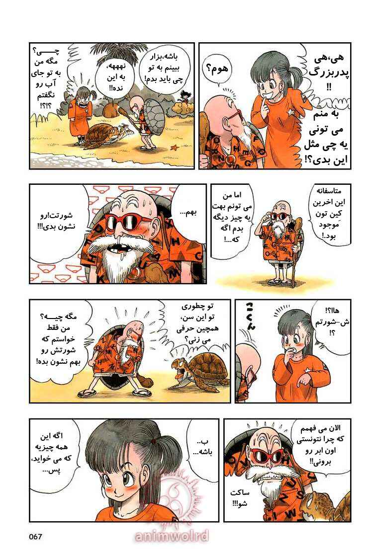 Dragon Ball Chapter 4 - Page 7