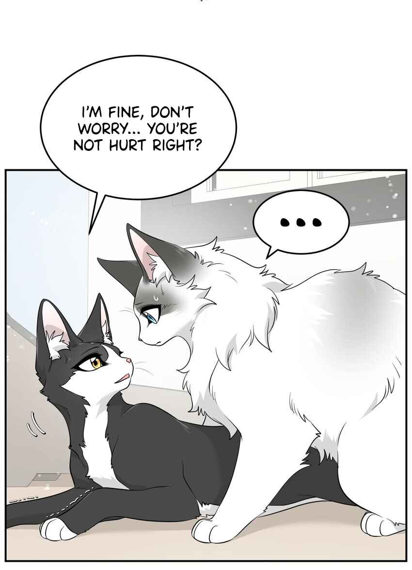 Sesame and Rice Cake Chapter 7.2 - Page 8