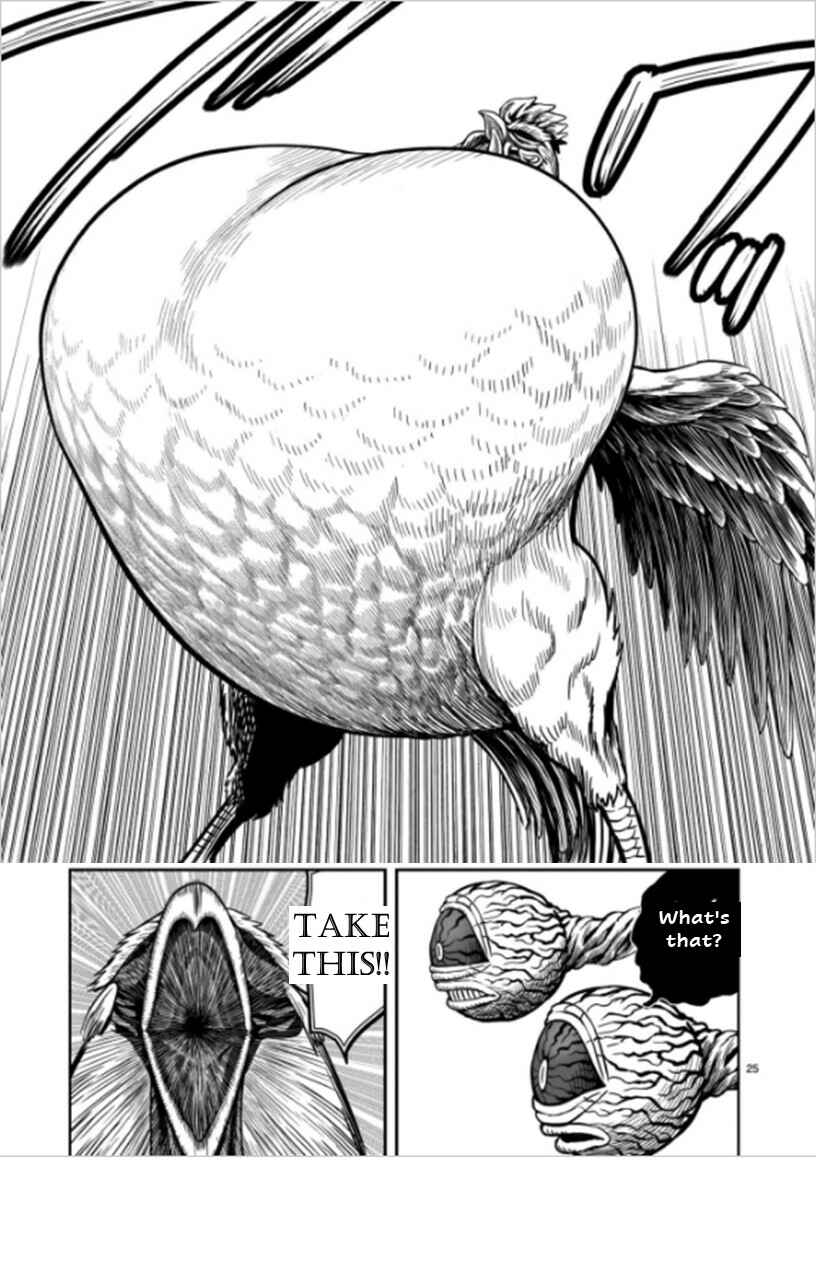 Niwatori Fighter Chapter 6 - Page 25
