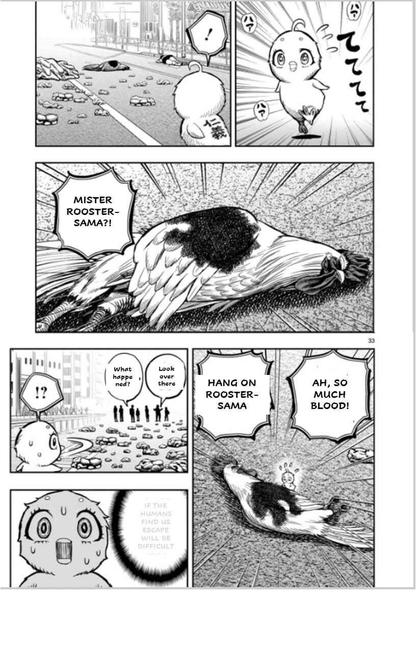 Niwatori Fighter Chapter 6 - Page 33