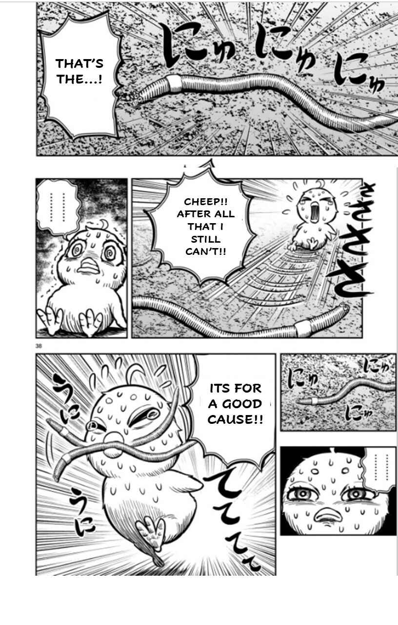 Niwatori Fighter Chapter 6 - Page 38