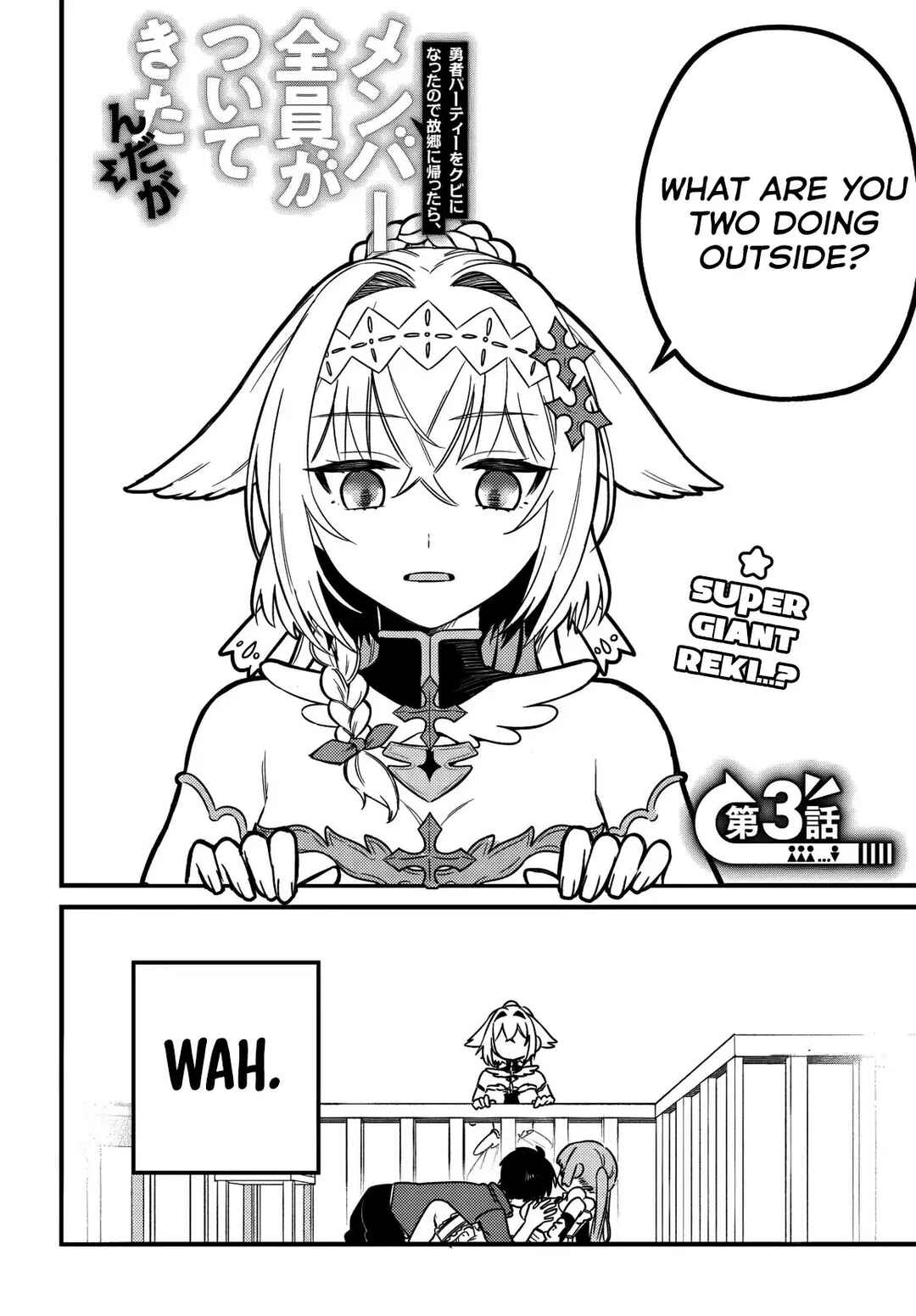 Yuusha Party wo Kubi ni Natta node Kokyou ni Kaettara, Member Zenin ga Tsuite Kitan da ga Chapter 3 - Page 6