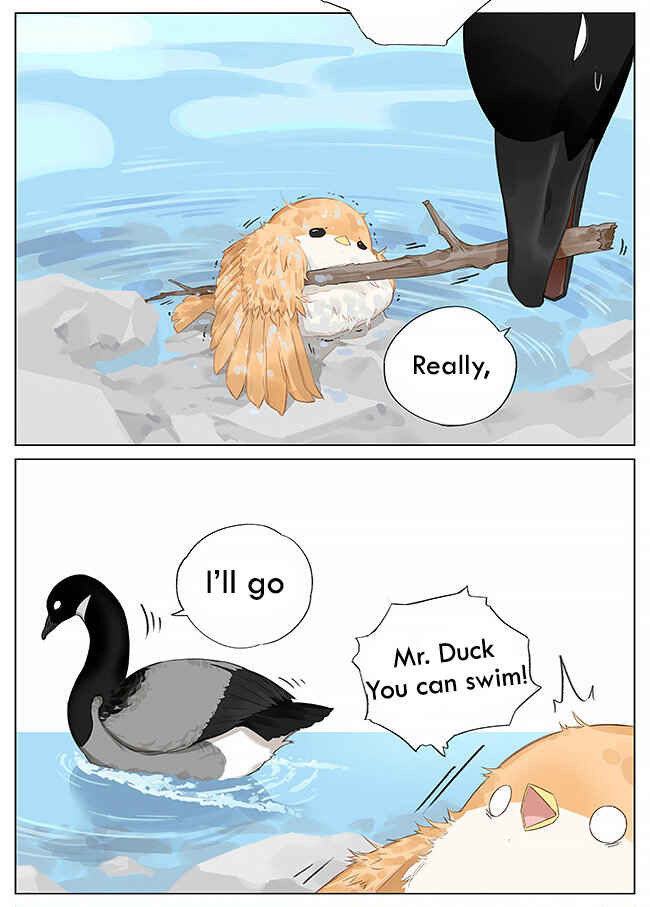 Southern Bird and Northern Bird Chapter 8 - Page 4