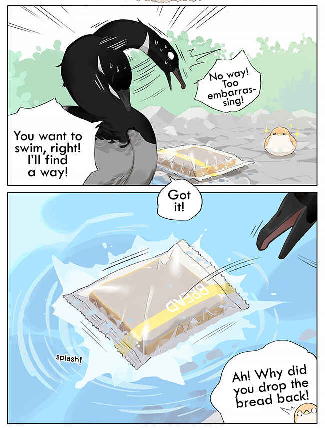 Southern Bird and Northern Bird Chapter 8 - Page 6