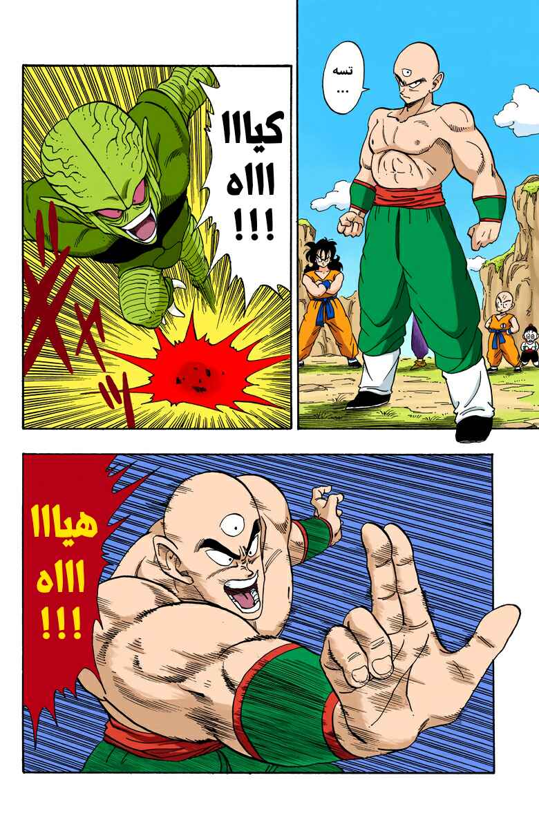 Dragon Ball (Official Colored) Chapter 214 - Page 11