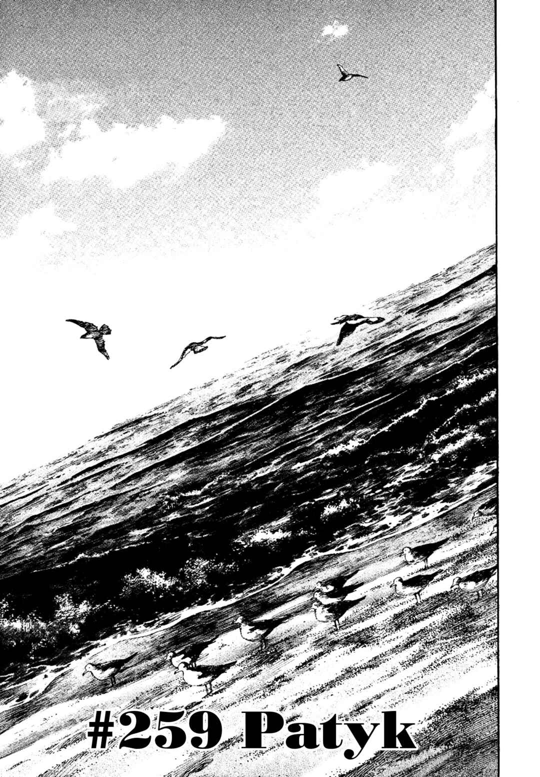 Vagabond Chapter 259 - Page 2