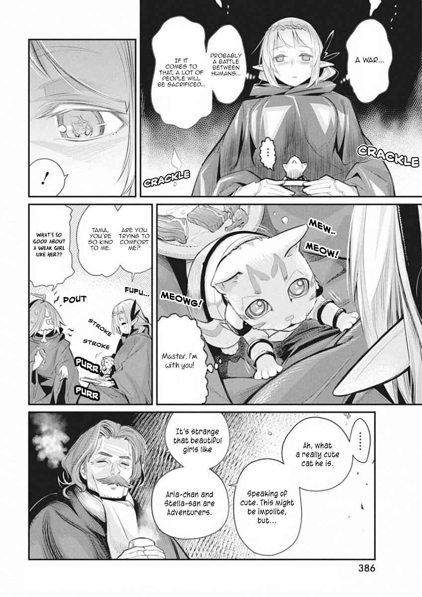 S-Rank Monster no "Behemoth" dakedo, Neko to Machigawarete Elf Musume no Pet to Shite Kurashitemasu Chapter 27 - Page 17