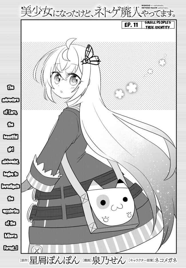 Bishoujo ni Natta kedo, Netoge Haijin Yattemasu. Chapter 11.1 - Page 1