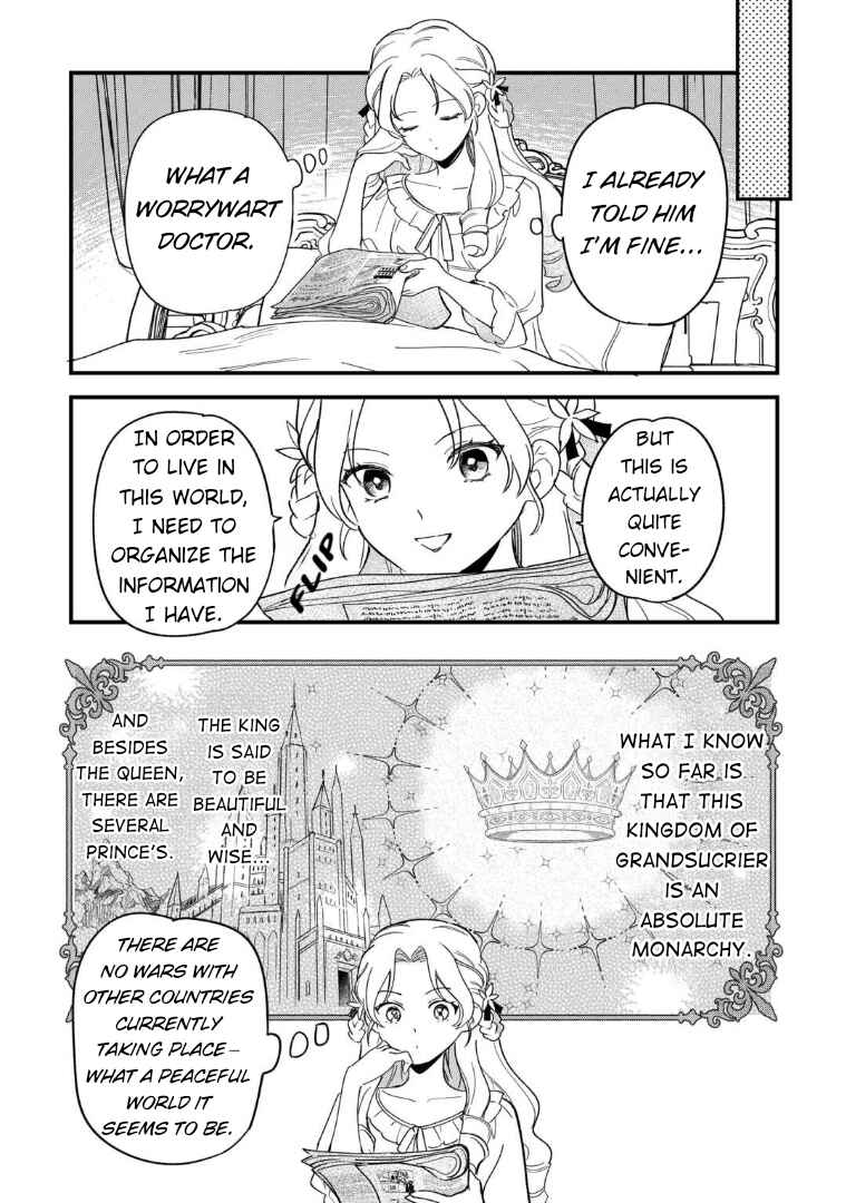 Akuyaku Reijou ni Onee ga Tenseishita kedo nanimo Mondai ga Nai Ken Chapter 1 - Page 17