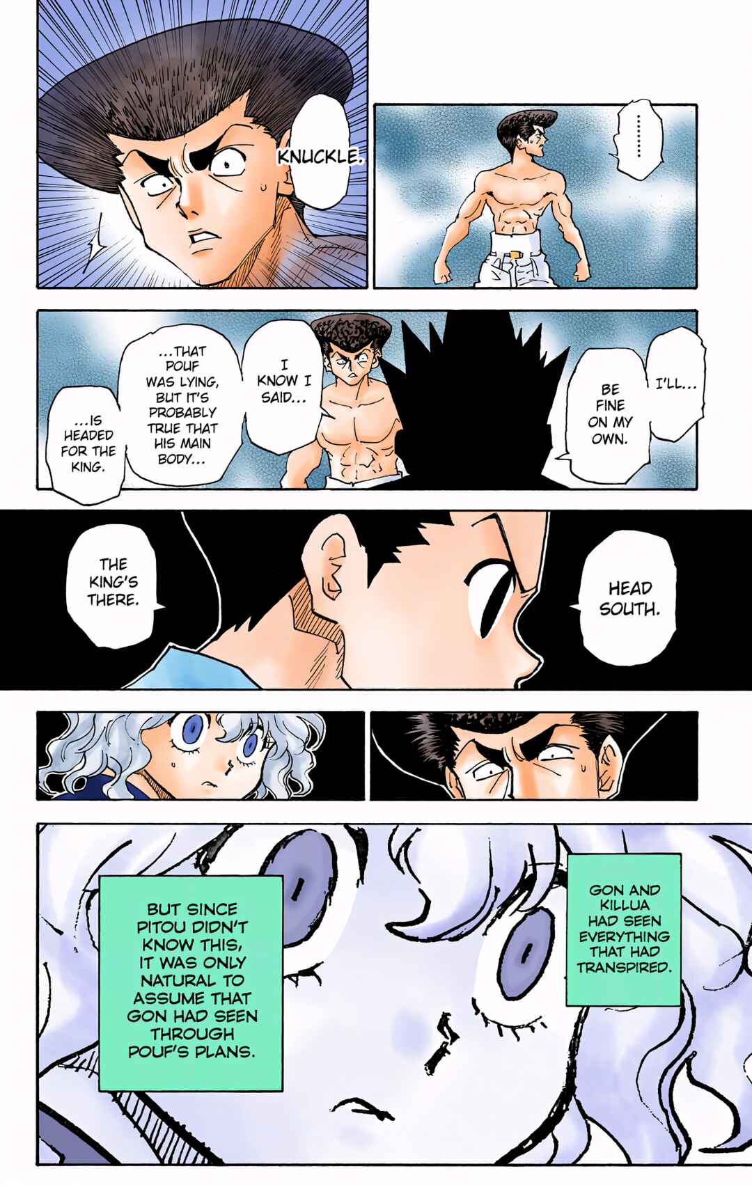 Hunter x Hunter (Official Colored) Chapter 295 - Page 15