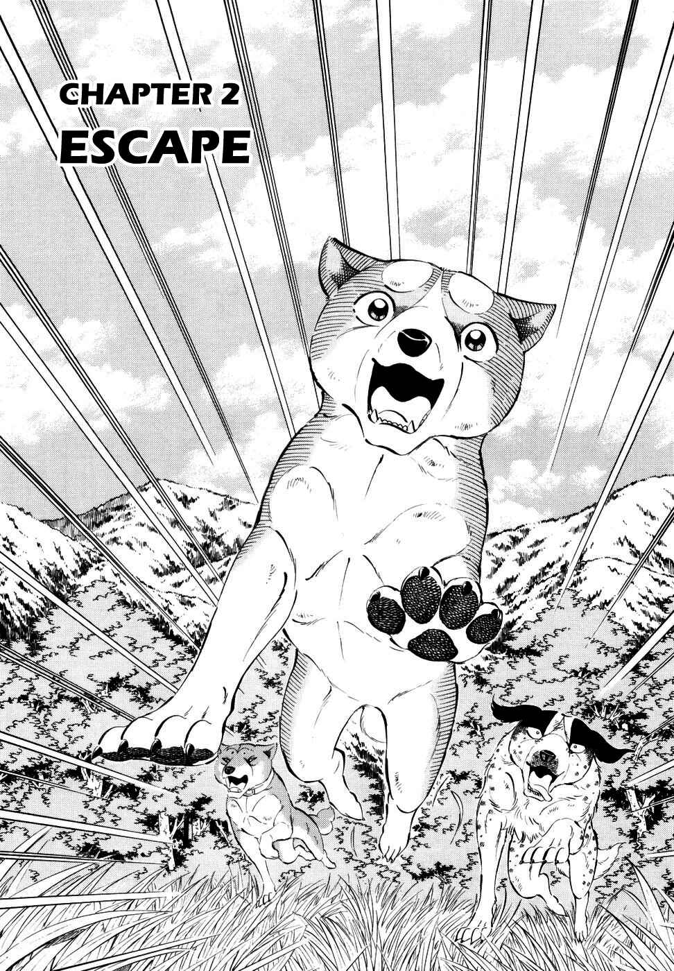 Ginga Densetsu Weed Chapter 349 - Page 1