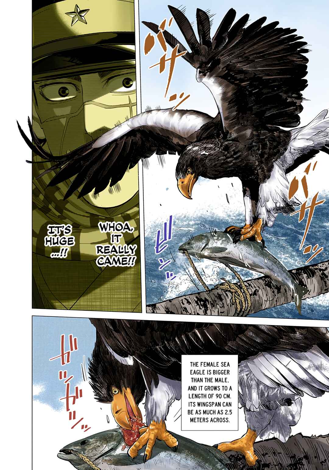 Golden Kamuy (Official Colored) Chapter 32 - Page 9