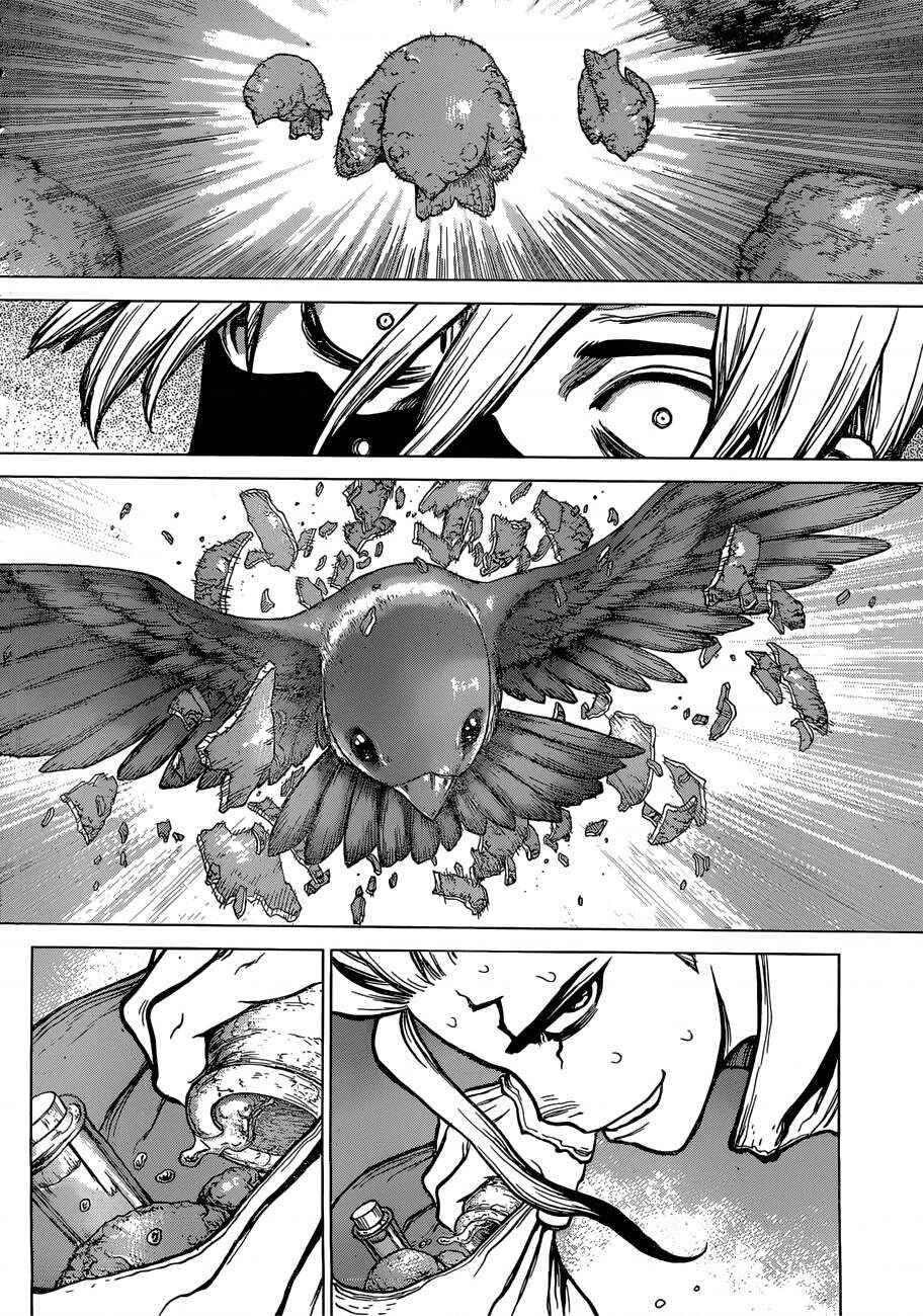 Dr.STONE Chapter 80 - Page 14