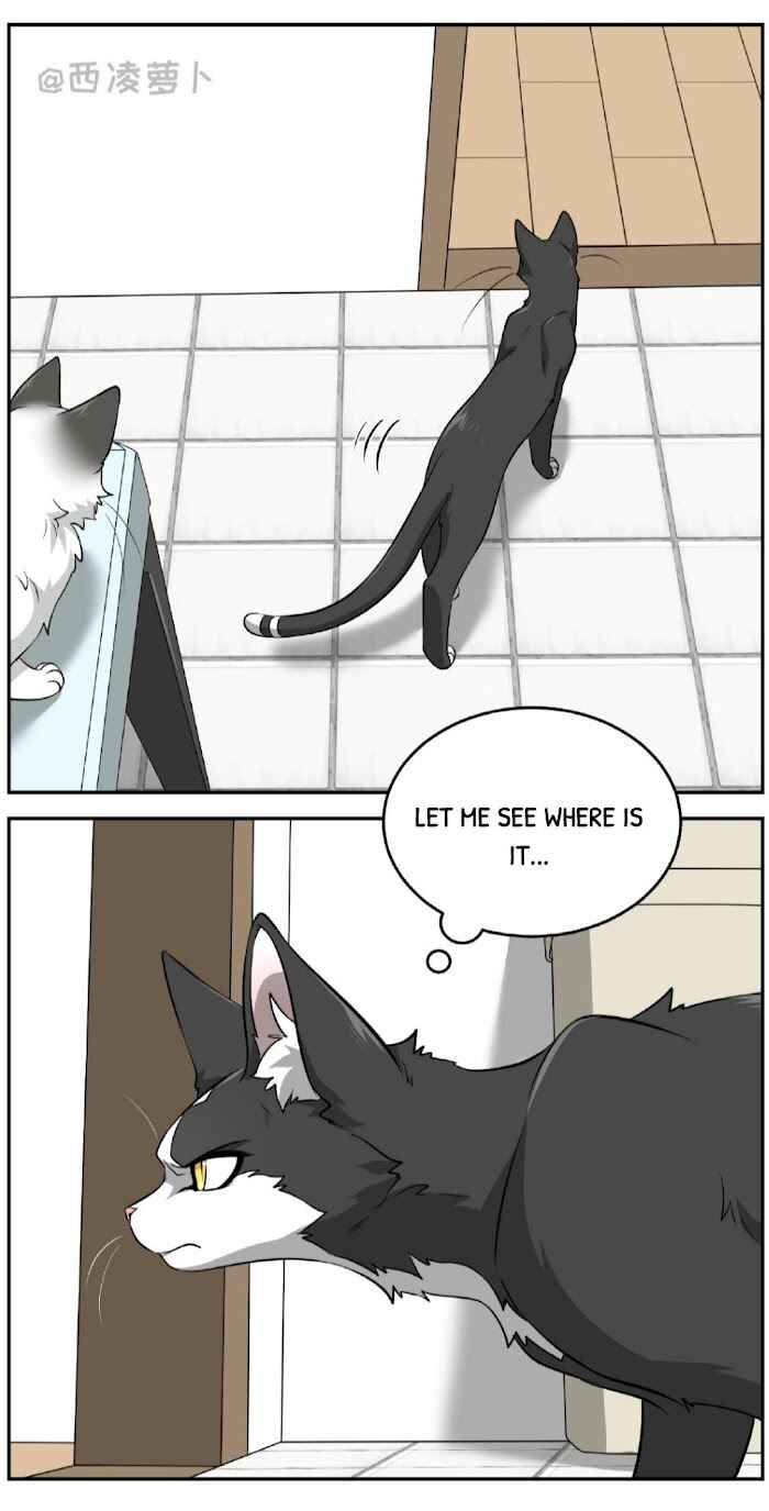 Sesame and Rice Cake Chapter 7 - Page 6