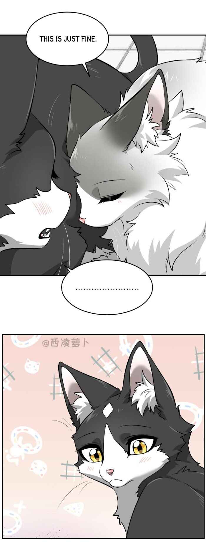 Sesame and Rice Cake Chapter 7 - Page 8