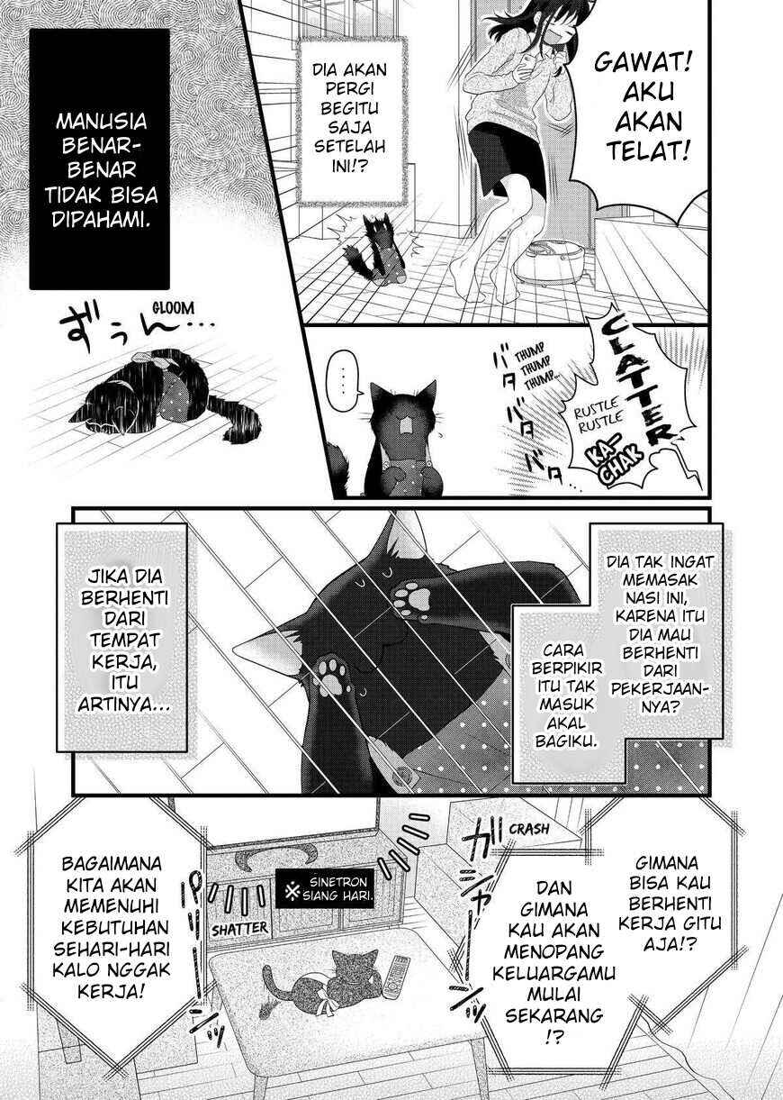 Dekiru Neko wa Kyou mo Yuuutsu Chapter 69.5 - Page 5