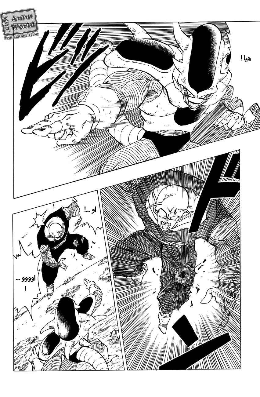 Dragon Ball Chapter 302 - Page 12
