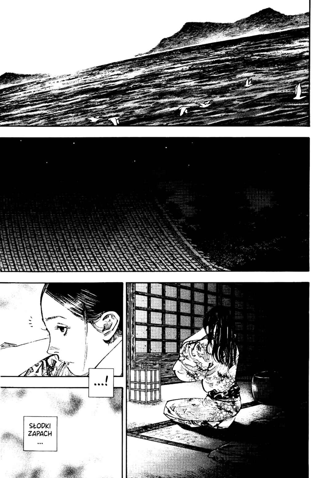 Vagabond Chapter 263 - Page 9