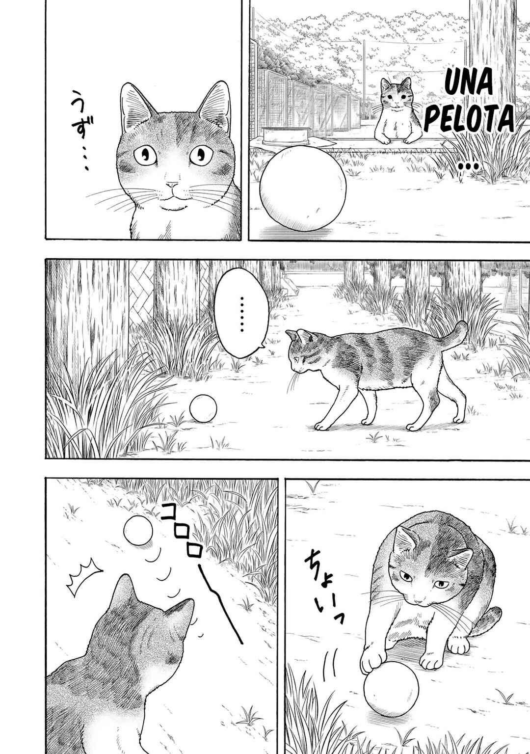 Yuzuki wa Neko ni Naru Chapter 2 - Page 13