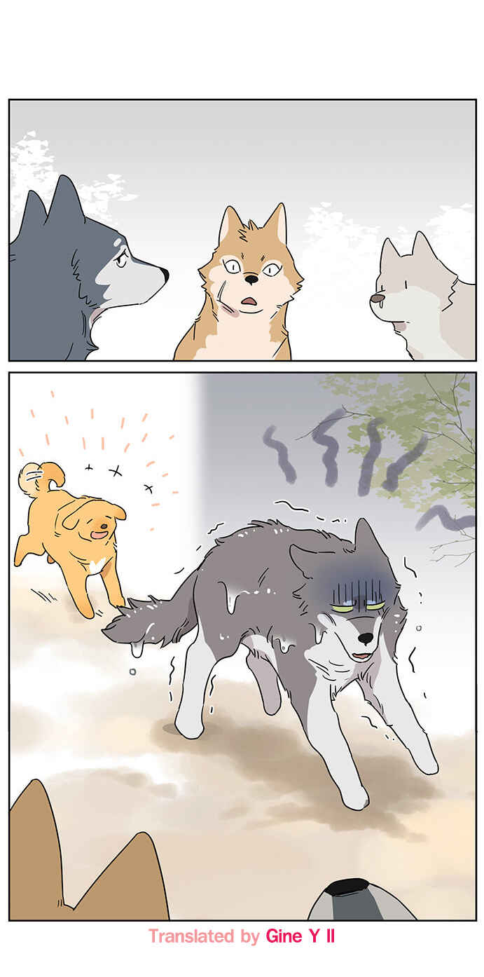 The Wolf That Picked Something Up Chapter 80 - Page 11