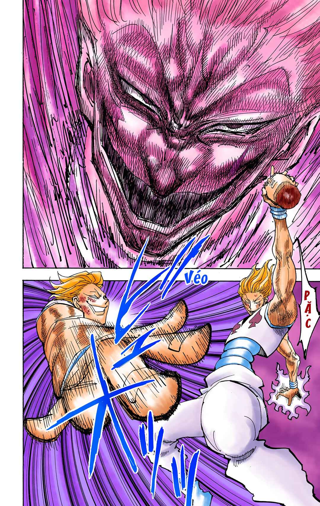 Hunter x Hunter (Official Colored) Chapter 355 - Page 9