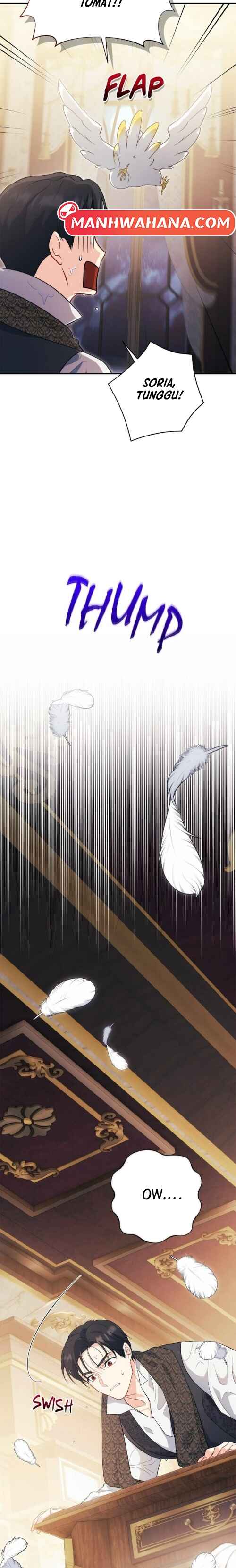 The Princess in the Henhouse Chapter 11 - Page 17