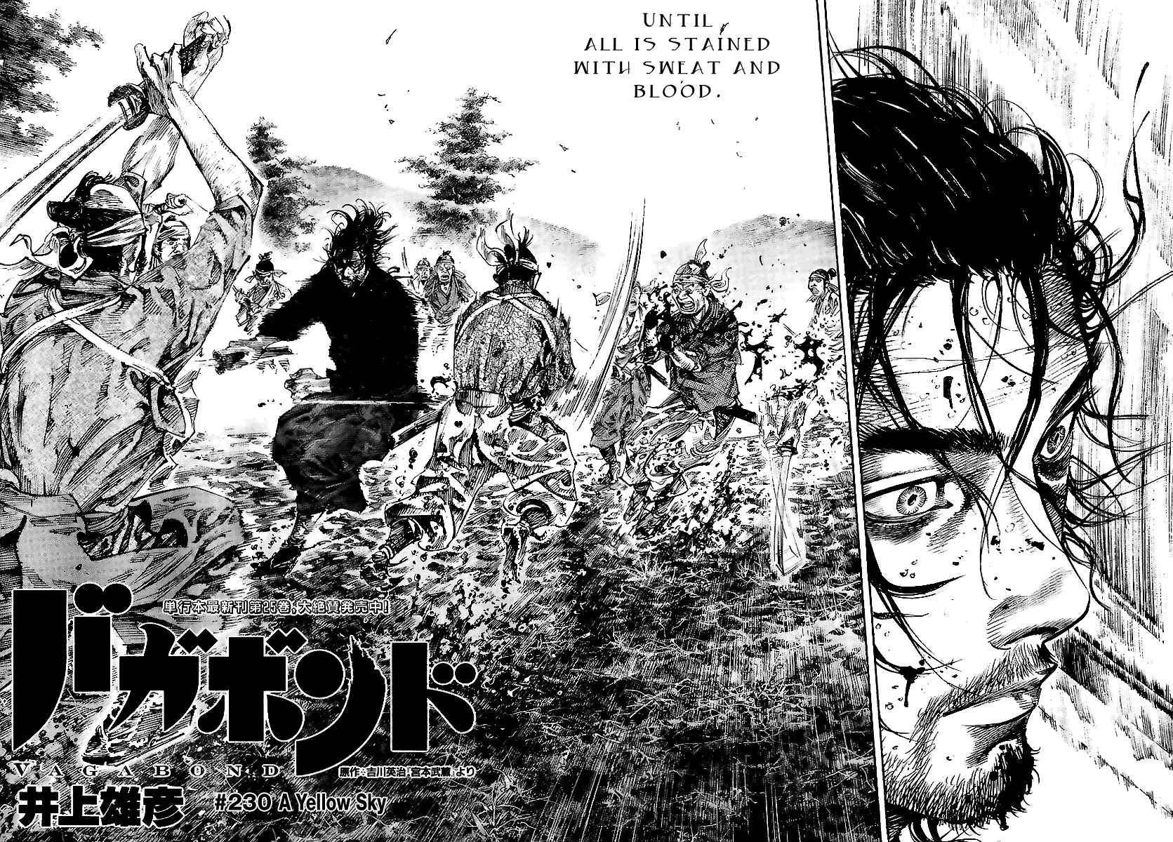 Vagabond Chapter 230 - Page 2