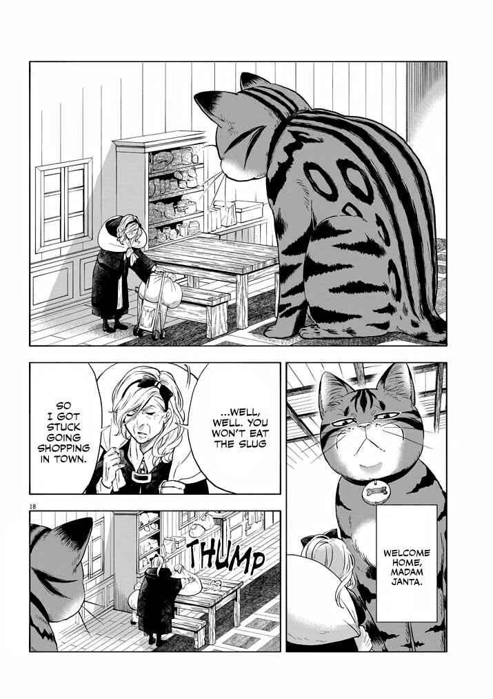Isekai Neko to Fukigen na Majo Chapter 2 - Page 17