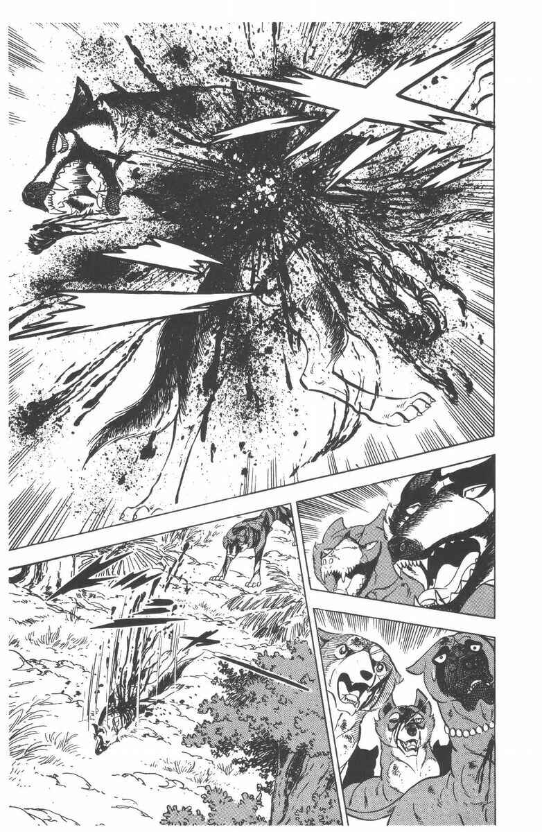 Silver Fang – The Shooting Star Gin – Chapter 50 - Page 23